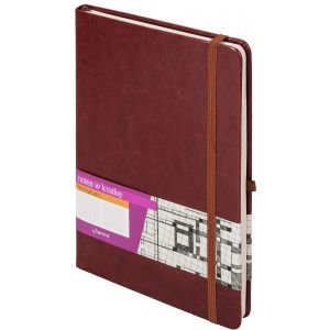 Notes Antra Formalizm A4/96/80g kratka, Brązowy
